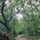 선산동물병원 이미지