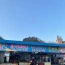 대진회센타
