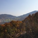 주성목장 | 증평 루지 블랙스톤 벨포레 양떼목장 상세후기 :) (+증평맛집)