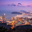 부산 티스토리