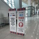 아프리카 펫센터 | 2024 울산 펫페어 방문후기!