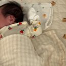 하도꿀잠 | 머미쿨쿨 좁쌀이불로 모로반사 심한 신생아 육아 꿀잠 재우기