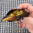 강남 가성비 스시 오마카세 추천 스시도 디너 만족 후기