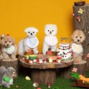 디어마이퍼피 이미지