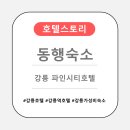 신일슈퍼 | [강원] 동행숙소 - 강릉 파인시티호텔