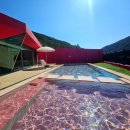 프라이빗핑크트리 이미지