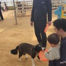 원반농장 이미지