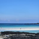 한라산도야지 | 제주 맛집 ) 제주 도민 추천! 구좌 가성비 고깃집 ‘한라산 도야지’ 후기