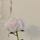 아르떼스튜디오 이미지