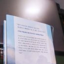 메가루트