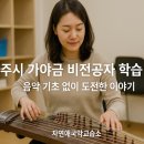 파주시 가야금 비전공자 학습 후기 - 음악 기초 없이 도전한 이야기