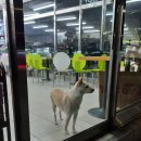 다목리 버스터미널 이미지