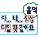 정통춘천닭갈비 | 안양 풍자 또간집 정통춘천닭갈비 최신후기 주말 웨이팅