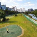 수내동파크골프장 이미지