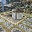 장성소고기 이미지