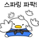 에이스 유도체육관 이미지
