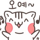 365통신 이미지