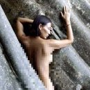 바바나무 이미지