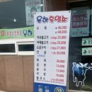 흑염소은하 이미지