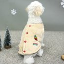 스누피 애견 이미지