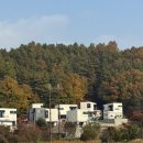 아체로1 이미지