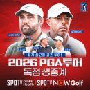 GOLF골프PC 이미지