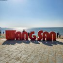 영종도 차박 용유도 해변 왕산해수욕장 차박 캠핑 주차장