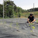 김준식농장 | 청년농, '농지 마련·자연재해·대출 상환' 쉬운 게 없다