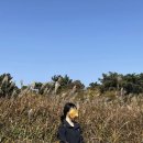 하단동171 | 부산 억새 등산 / 승학산 11월 억새 / 승학산 억새 쉬운 등산코스 / 승학산 억새 숨겨진 포토스팟...