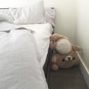 엔시티 제외하면 제 10월은요,