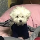 오포사랑약국 | 1월은 아직 2020년인 걸로