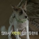 양희 - 부산진구 | 양희