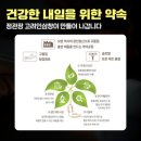 ㈜한국인삼공사 고려인삼창