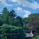 학포선생부조묘 이미지