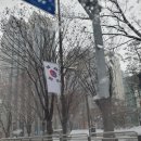 삼성역미용실 무이헤어 김대현원장 애쉬브라운염색 하기 :D