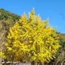 가야진사공원 파크골프장 이미지