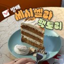 강민경맛집 방배 세시셀라팩토리 당근 홀케이크 가격 예약 픽업 후기