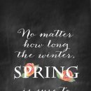 메르시엠 이미지