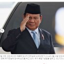 인도네시아의 Prabowo는 2025년까지 50%의 팜 기반 바이오디젤 혼합을 구현하기를 희망합니다. 이미지