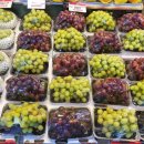 중동청과 이미지