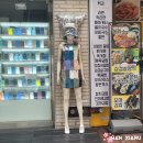 콩볶는야옹이 이미지