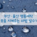 옷사랑 명품 세탁소 이미지