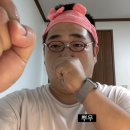 키움참치 이미지