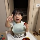 오늘도 신선 | 스테비아 방울토마토 자몽맛!? 오늘신선 후기