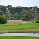 테디밸리CC | 제주도 골프장 추천 잔디좋은 명문 제주 테디밸리CC 예약 후기