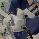 힐링힐스 동물 치과병원 이미지