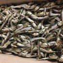 동부상회 이미지