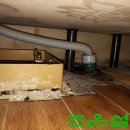 일구키친 이미지