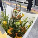1월에서 2월 일상 모아모아_ 청모 / 본식 드레스셀렉 (청주 메종드안 하오에)