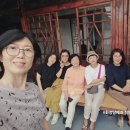 남수연화 이미지